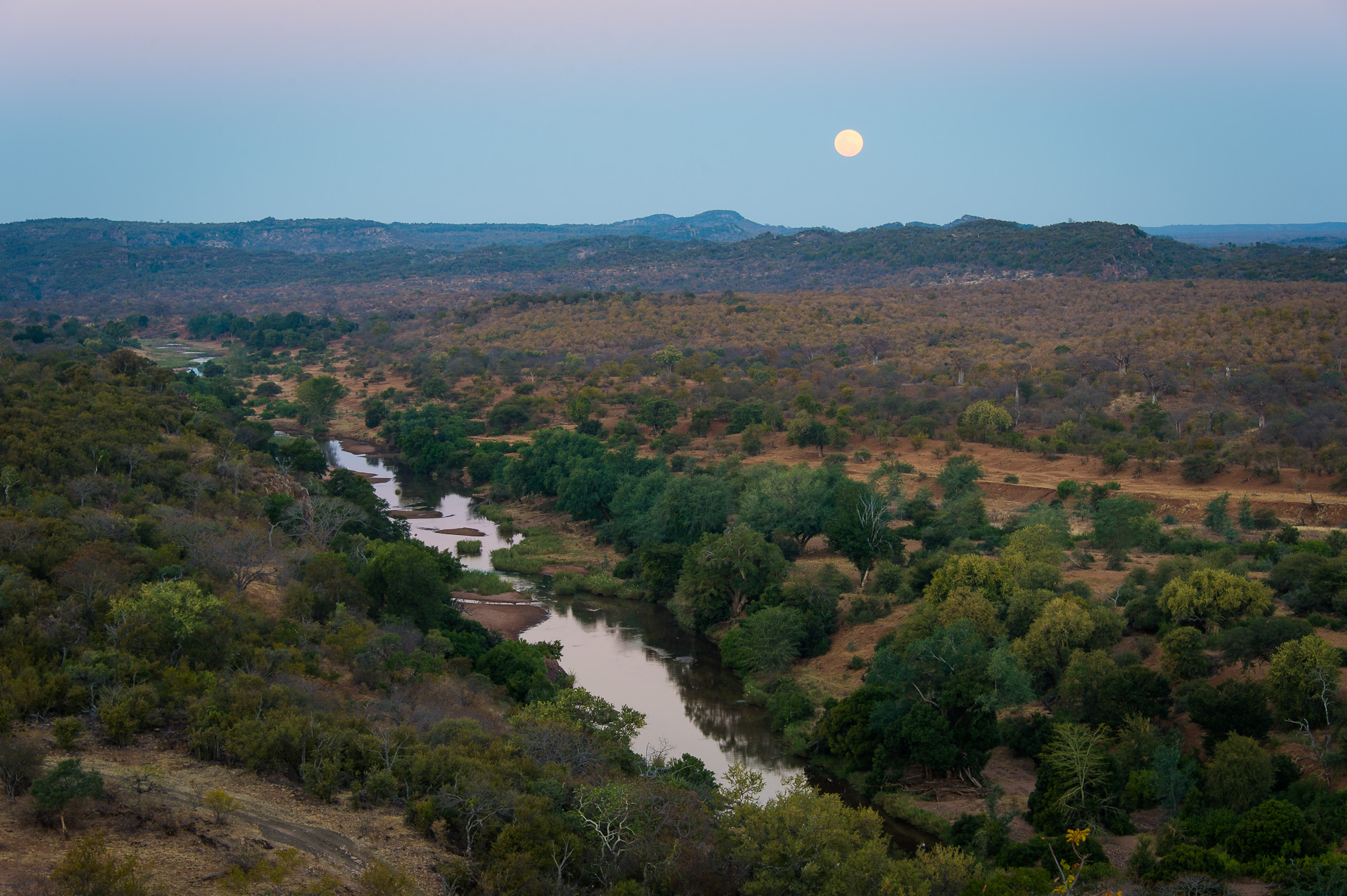 WHAT TO EXPECT IN KRUGER THIS WINTER