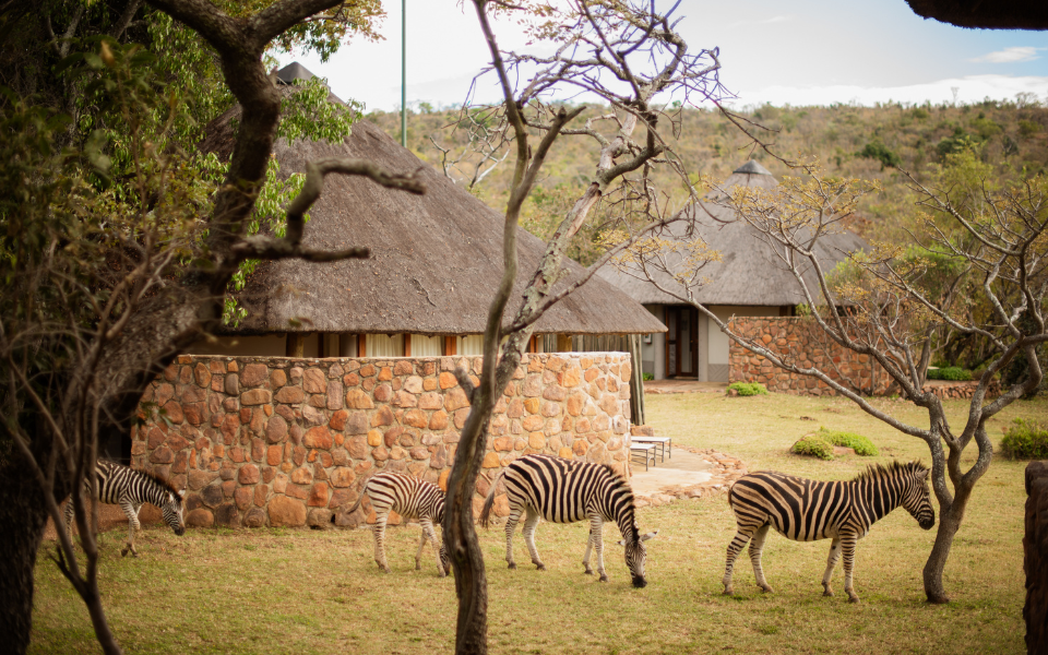 Family Safari at Ekuthuleni Lodge