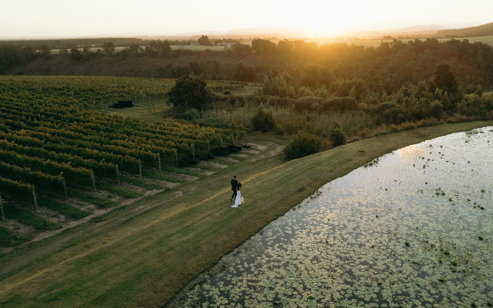 Plettenberg Bay Wedding Venue: Behind the Scenes at a Kay & Monty Wedding